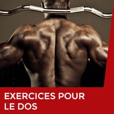 Exercices pour le dos
