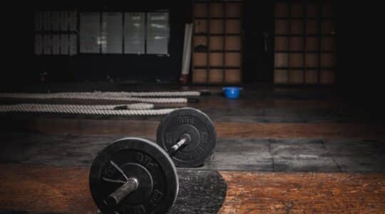 Tout sur Kevin Levrone le bodybuilder
