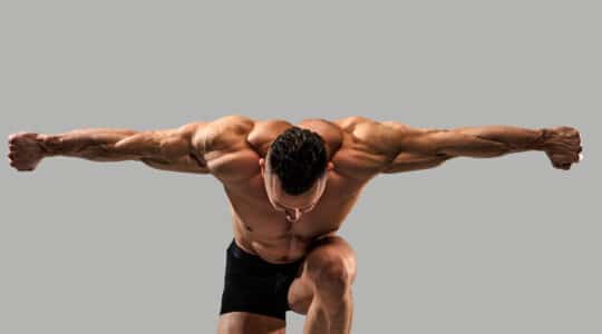 muscles visibles