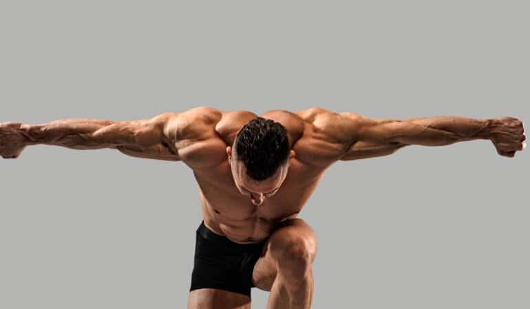 muscles visibles