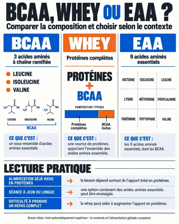 BCAA avantages musculaires : comparaison entre BCAA, whey et EAA