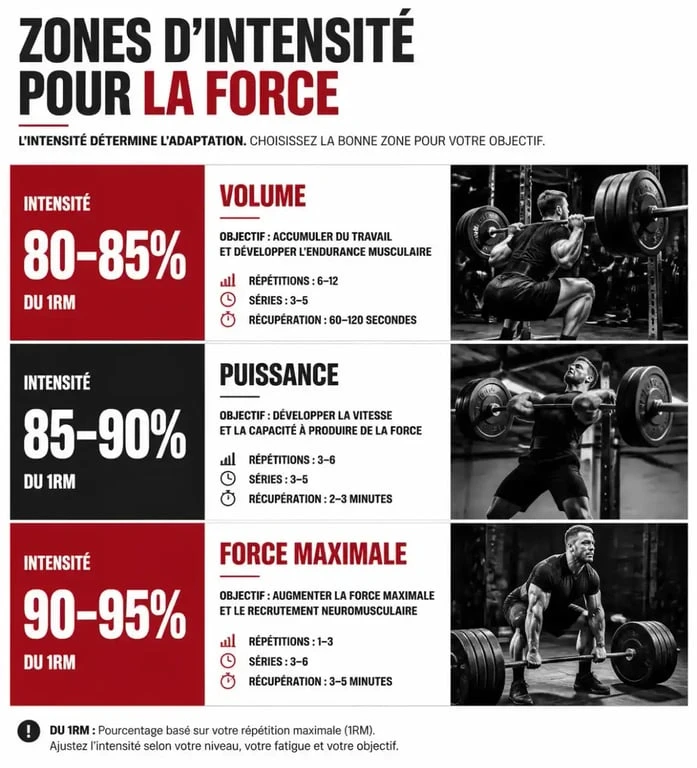 Infographie des zones d'intensité pour un programme force musculation